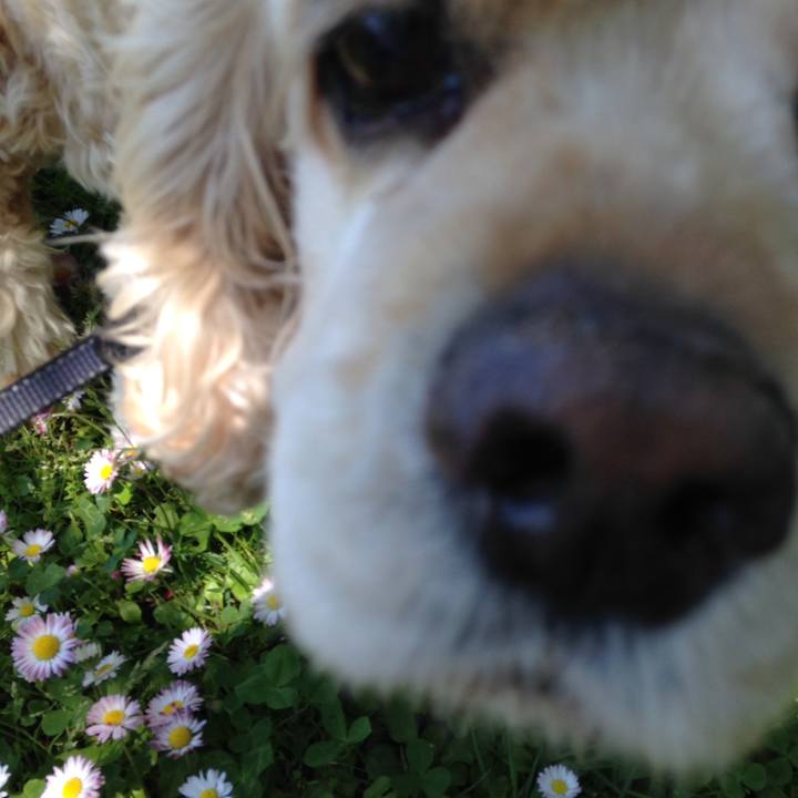 44c77505 43a8 4f7b b9ba 8dc050d3121f