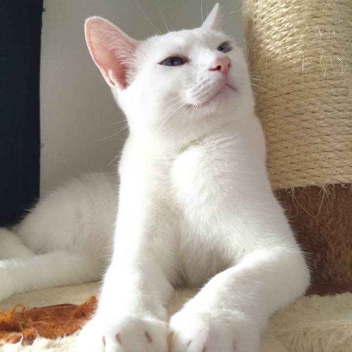 44c7f52e b248 4bf0 808c dcfa6162fe29