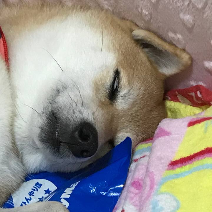 44c85ca3 f0e3 46c7 8e4b 917f67261853