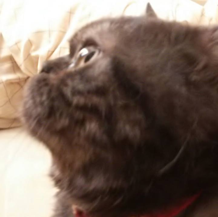 44c86711 4826 430e 9a38 7a3d4fae8b59