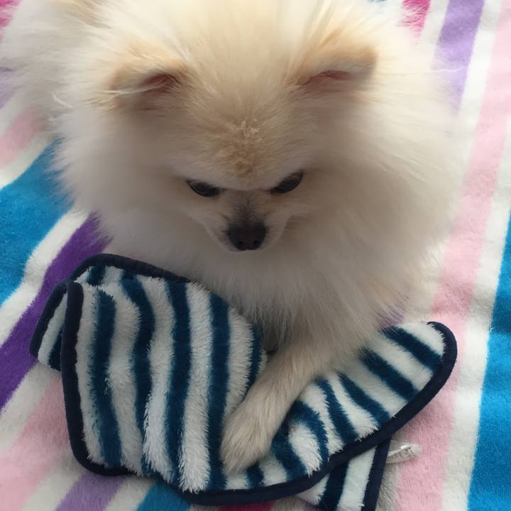 44c989a6 d397 4147 bc1d 4d193b99b630