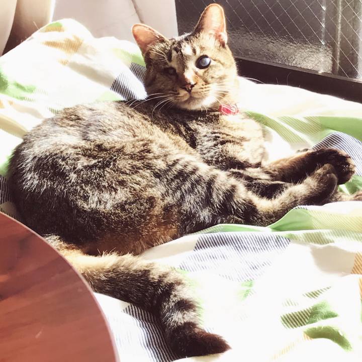 44c9d5ec bb9a 4661 a6ac 739d9d78481e