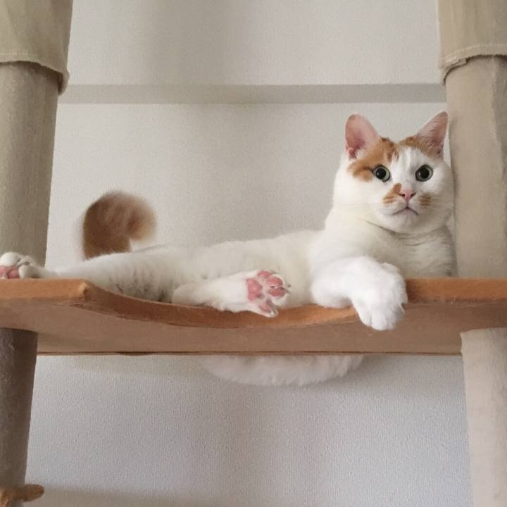 44cac5ec 88ad 4780 a52b 9cbe7acc7f7c