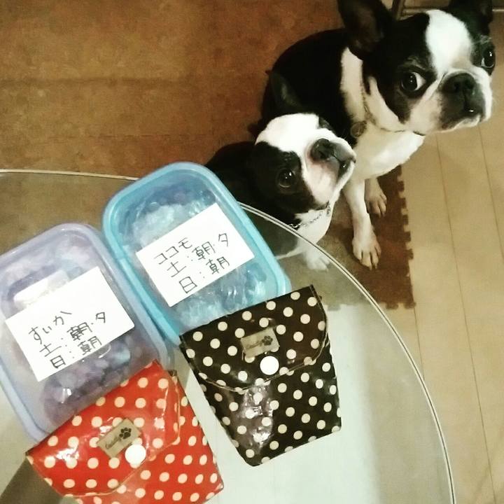 44cb1859 d446 4626 90cc 91f3b93df00b