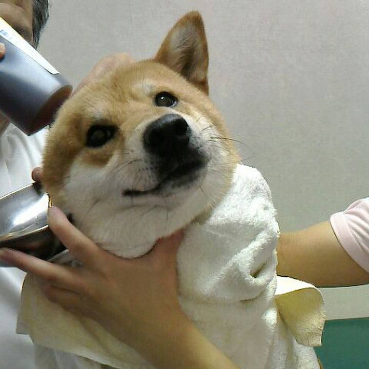 44cb2278 68df 4b92 b7f7 11569da942b8