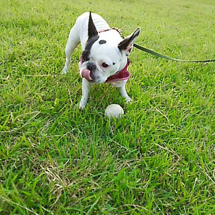 44cb3aee 7c1e 4b14 8e13 baa1a1b5e5a6