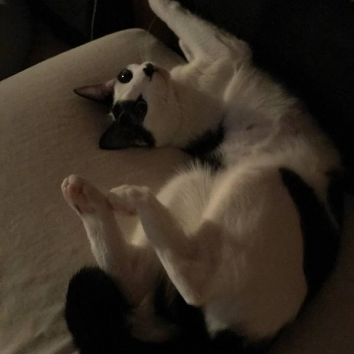 44cb982e 3db6 4f04 86fa 6e5c24f0f7ba