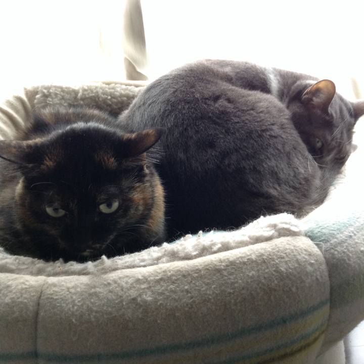 44cbd6c0 c28f 4270 b983 0a21b6317284