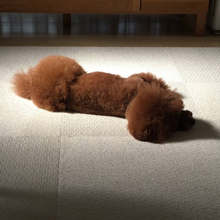 44cca748 74b1 46e0 97d1 3b4e64c139f9