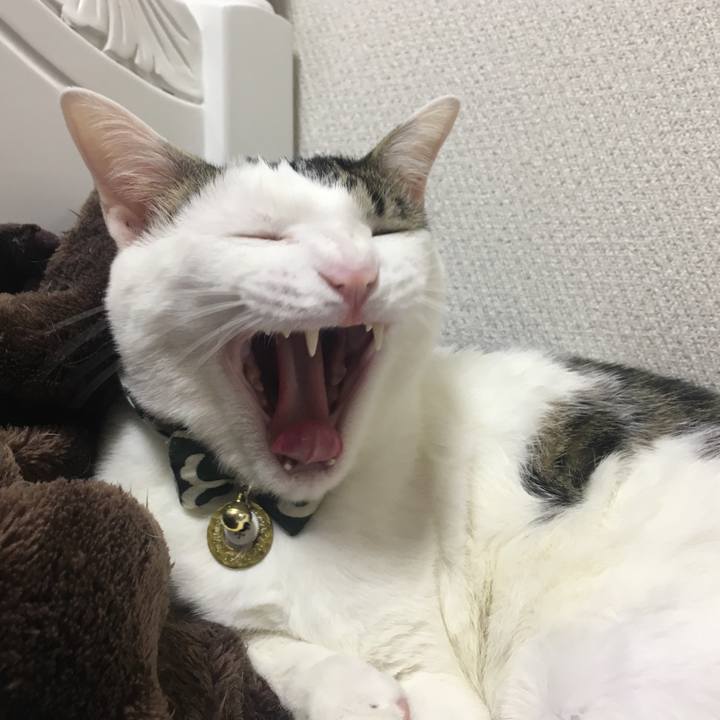 44ccac8e af3d 4f57 90fd 378354f4e368