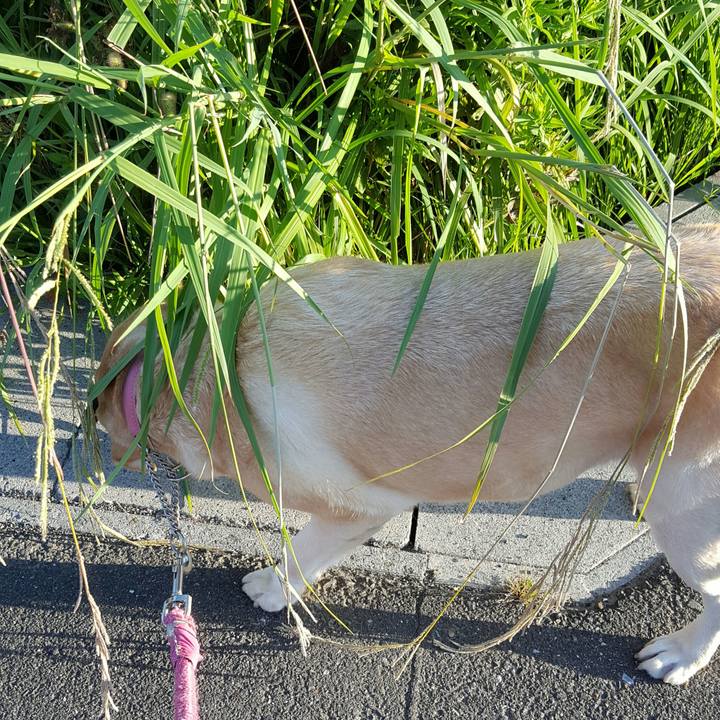 44cd10d0 cf21 4584 b6e8 011d19fdd07e