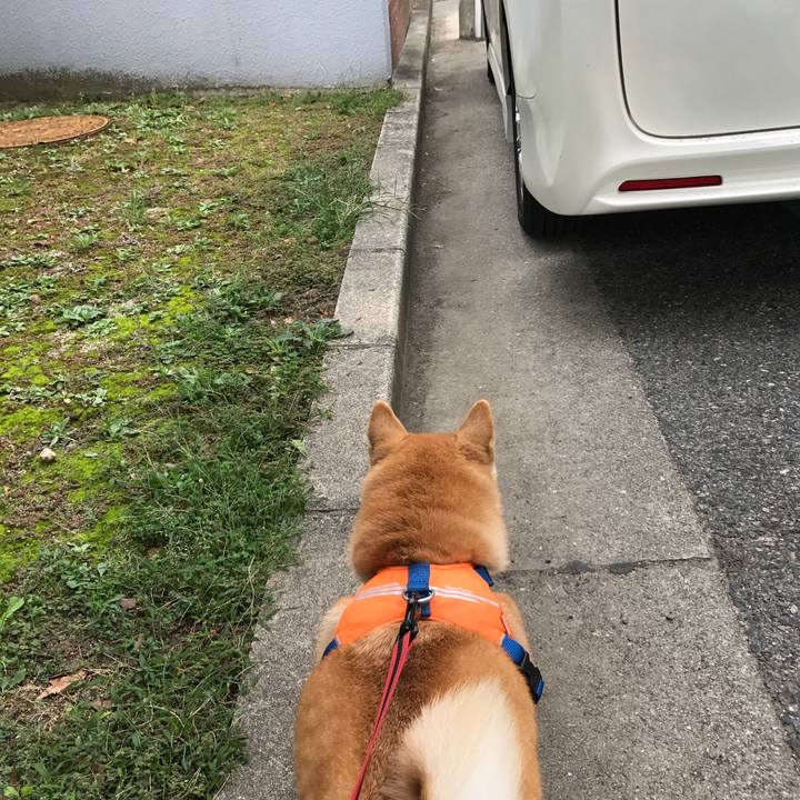 44cd1a57 3465 464e 94a0 9f93347f779e