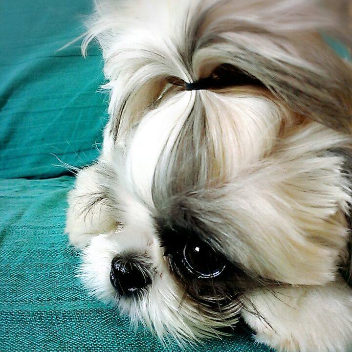 44cd3ac5 cc21 425c ba77 f0bd4669fdaf