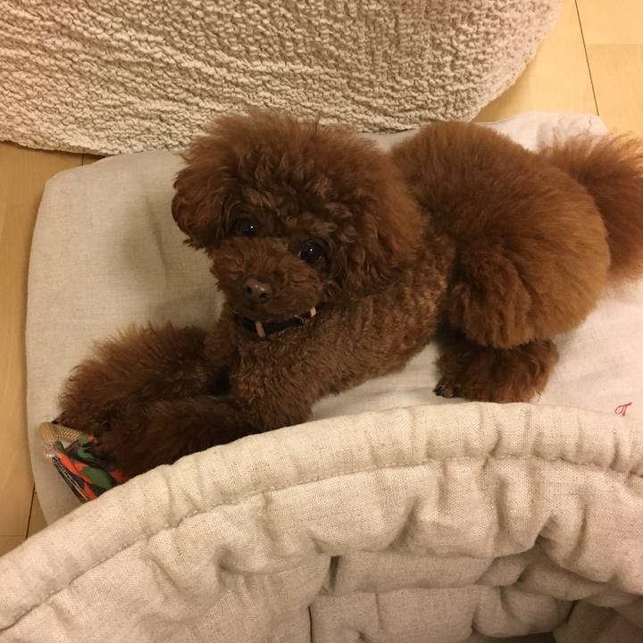 44cd6cba 29f8 400f 8e3a cd40e1b1a595