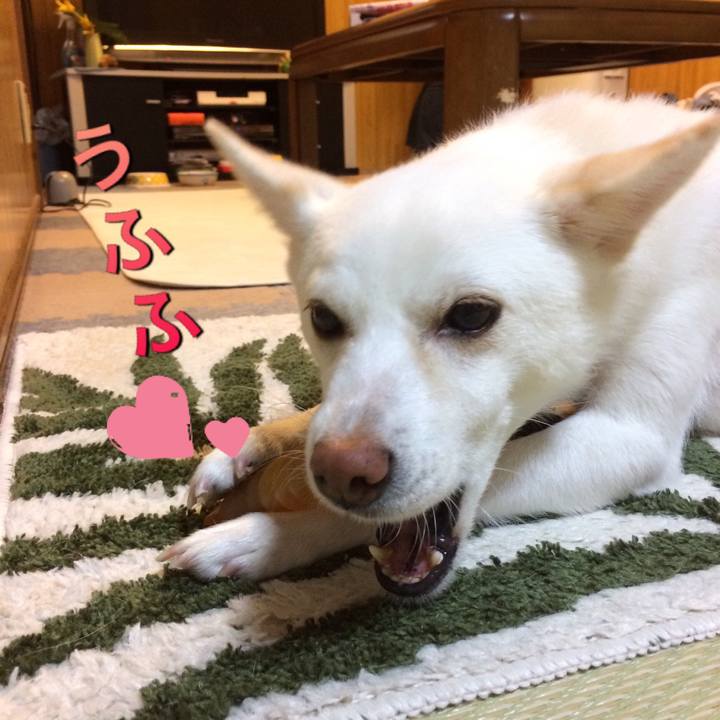 44ce8fe9 5254 45eb 954f 5116a108a09a