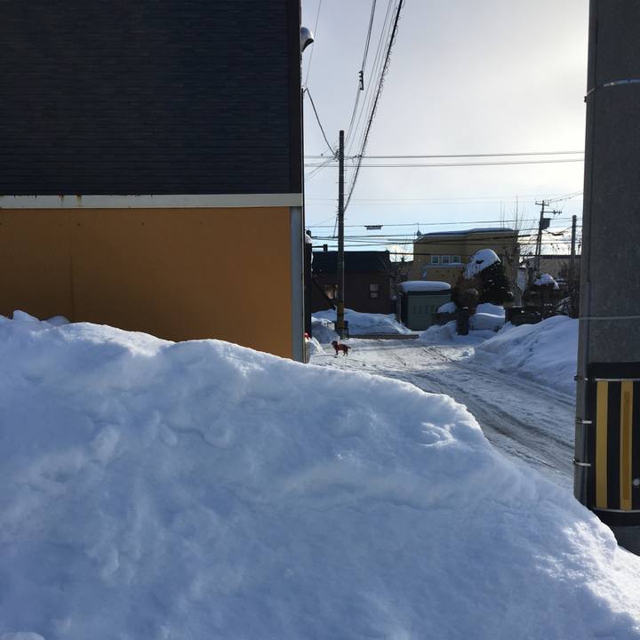 44cf1dd4 526b 4587 8d29 8b96c8af2d63