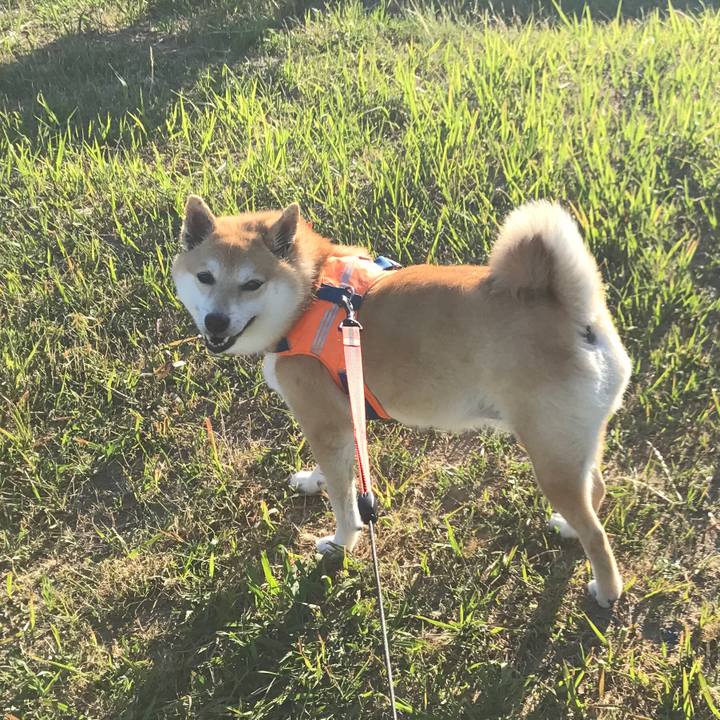 44cf53e6 90b7 429b bc8e 498855eb149e