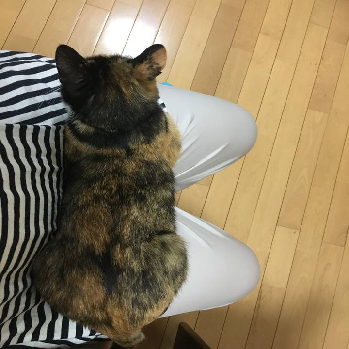 44cf551e 07ad 49e4 9dfe 11c70d62a4b9