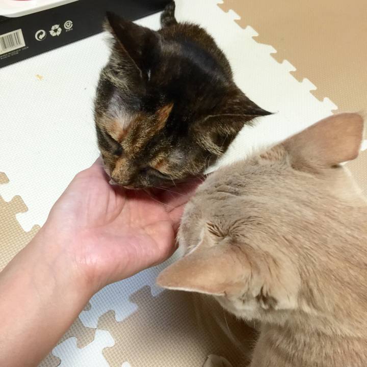 44d039d8 947c 47e6 b651 11faa6ba348c