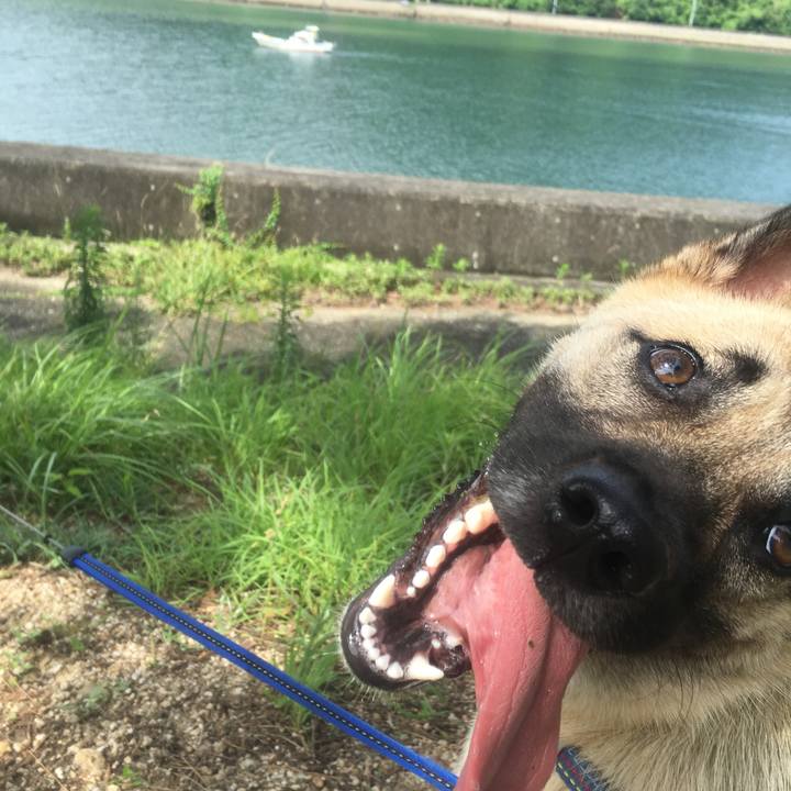 44d09cc5 f6c4 44c0 b70e 3a176ba6f9f1