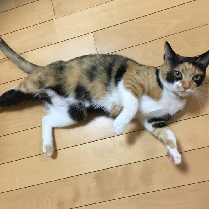 44d0bf57 1540 4200 bf19 d65d4267f444