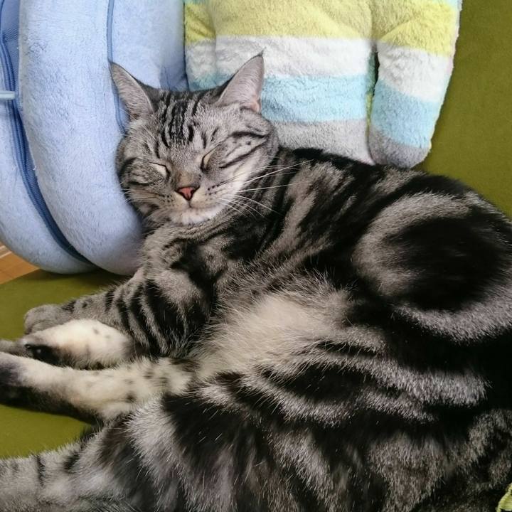 44d11049 9612 4dd8 a41a 4fc510ea1496