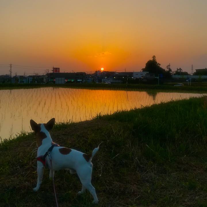 44d1f152 6f52 47e2 9f33 6bfad936f120