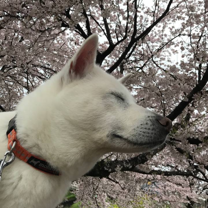 44d21c26 ee23 4a22 8b3c d18e4a0c4c85