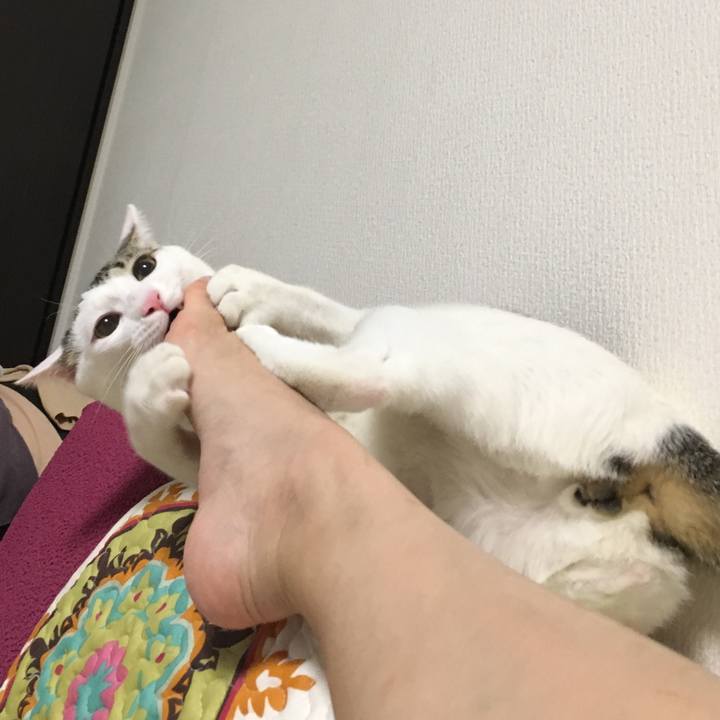 44d29715 b1e2 40d6 bef1 6fd9059dd09d