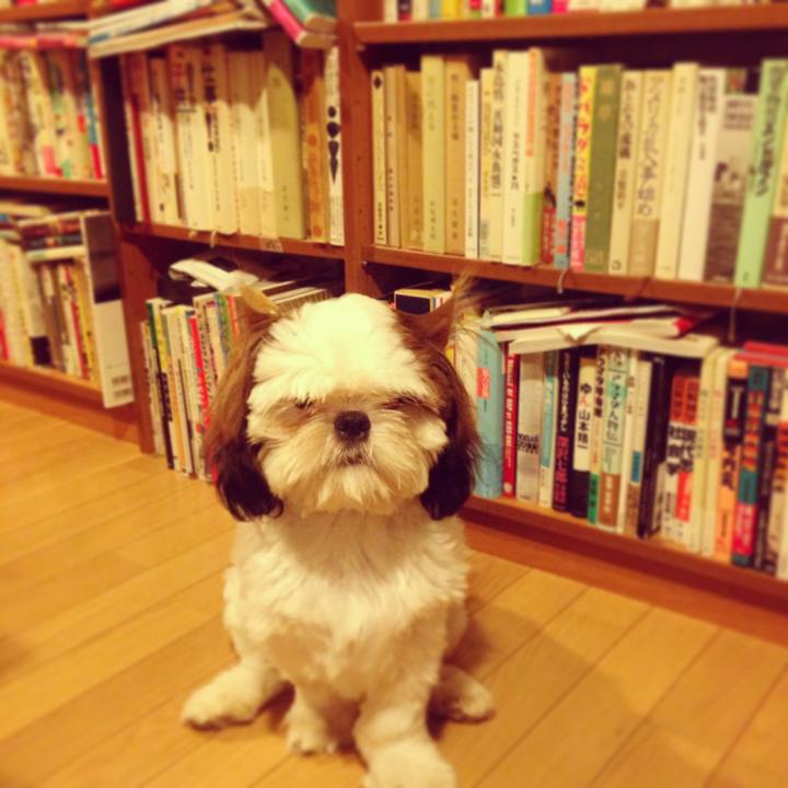 44d354ce 8d7f 4876 864f 459f907b2116