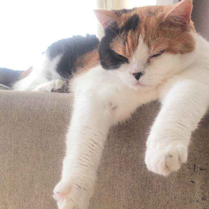 44d4078e 068d 4db9 9462 310be92e63f7