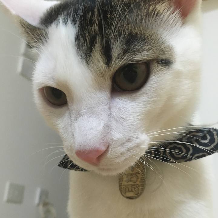 44d42483 c3c4 4302 b8ec bc5b07f2e77e