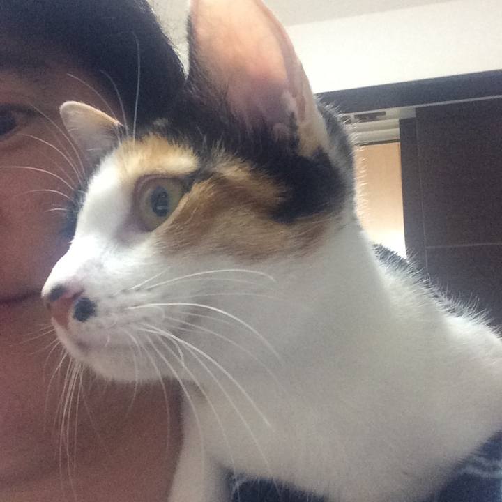 44d53da8 cba7 4fc8 a17e 7c0b3451c76a