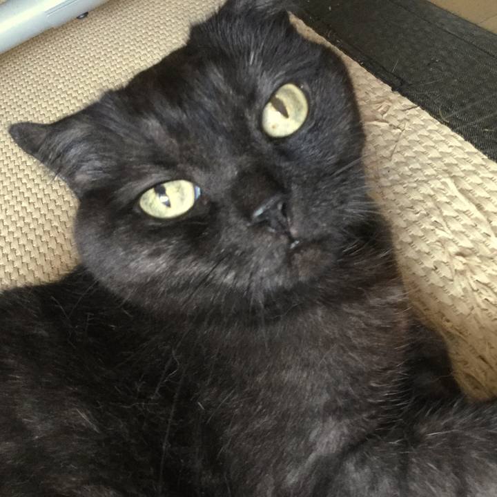 44d58272 68c3 448c b989 550c8264c3e8