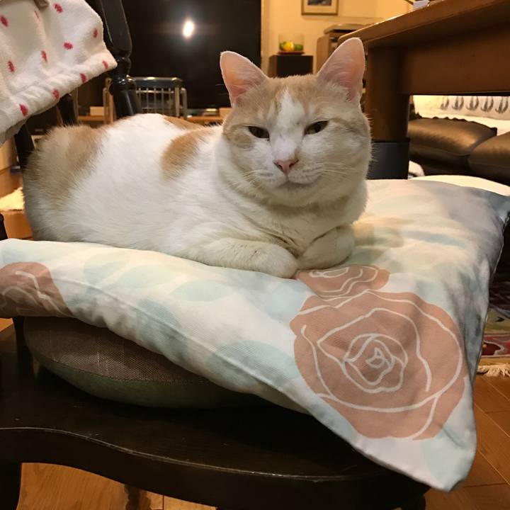 44d5a997 a557 4400 a181 41bac48c8201