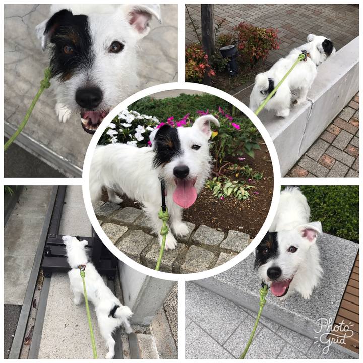 44d6134b 63fb 4fc0 a3ea 70889fe87f42