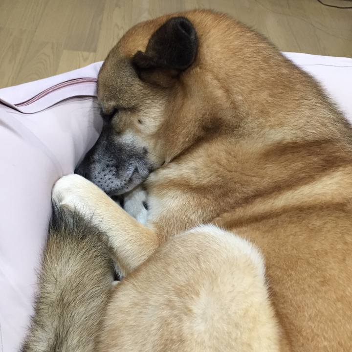 44d71420 580e 4246 809b 36c92ea187f6