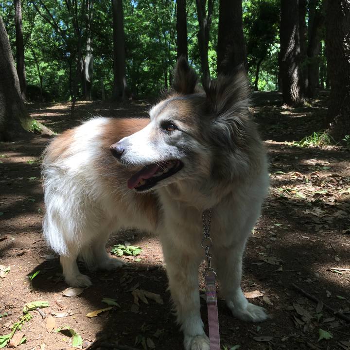 44d731e1 b4c8 4c89 8bb0 c92d27654552