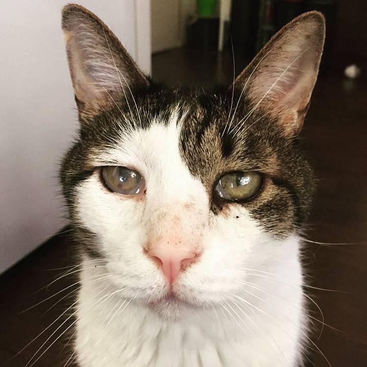 44d73990 58a1 477f bbda 5b54dc7df080