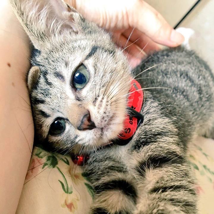 44d73e77 0640 4e8b b5ca df5aa3645173