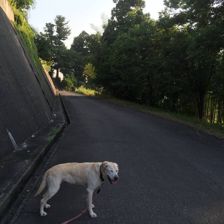 44d77644 2393 4b3f 9acc da0a361d4250