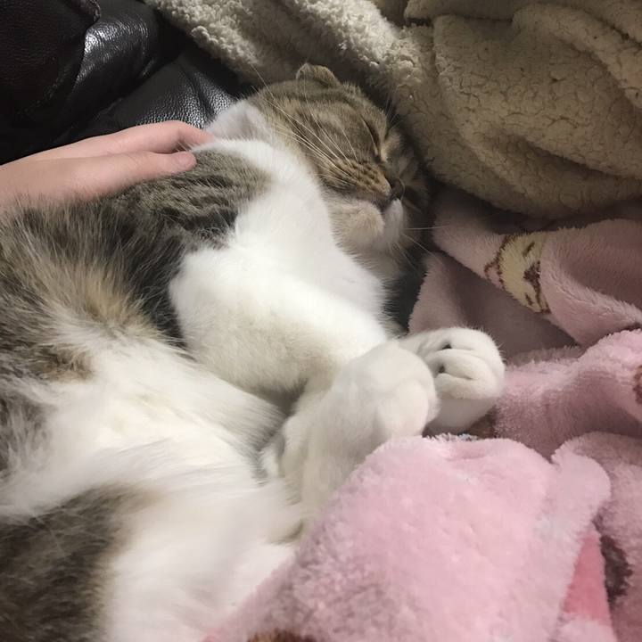 44d7c5c8 55b9 4b09 a655 3ed5022688b7