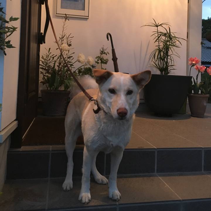 44d856ef 14f3 4a1d 9d01 09fb61771d0e