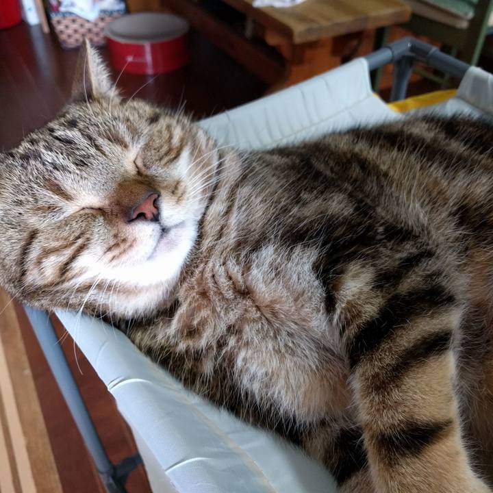 44d8cb2a 7fc3 432e bd33 486ce10848c5