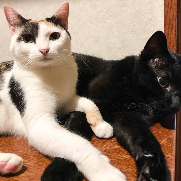 44d8f570 20f5 4e5e b705 8b48bdee5e02