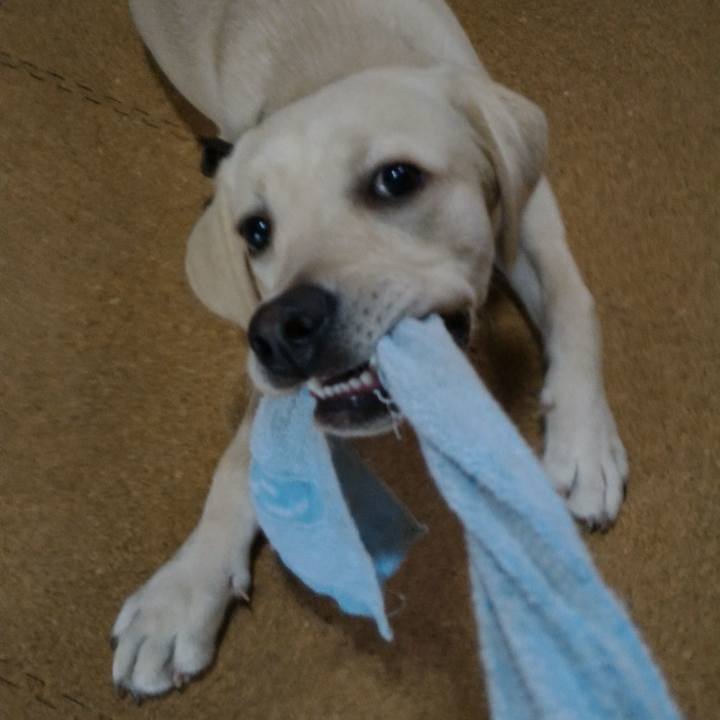 44d9df29 53a9 4b0a 9c4b ad43284eb91a