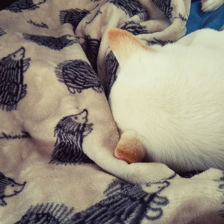 44d9eb28 2e64 4899 b7bb a9ba210f7756