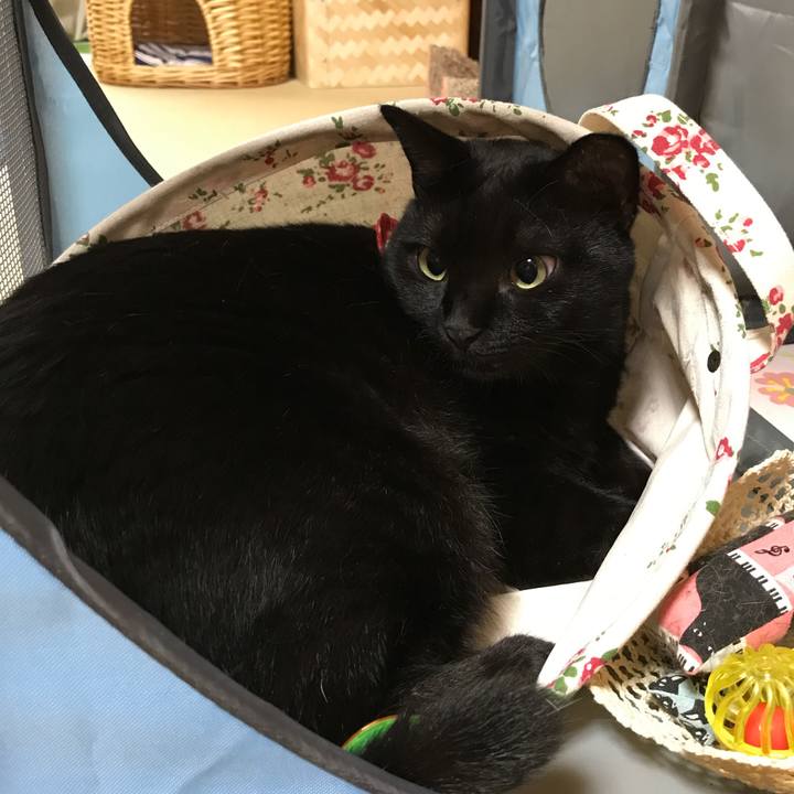 44da05d7 d602 4671 b6b3 0e1549148217