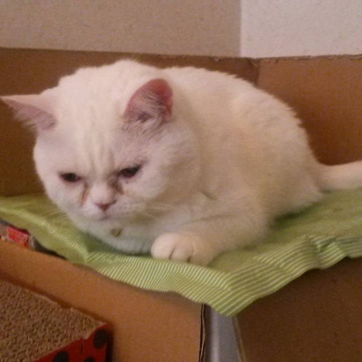 44da74f6 6001 47a4 9365 0ae15627ba41