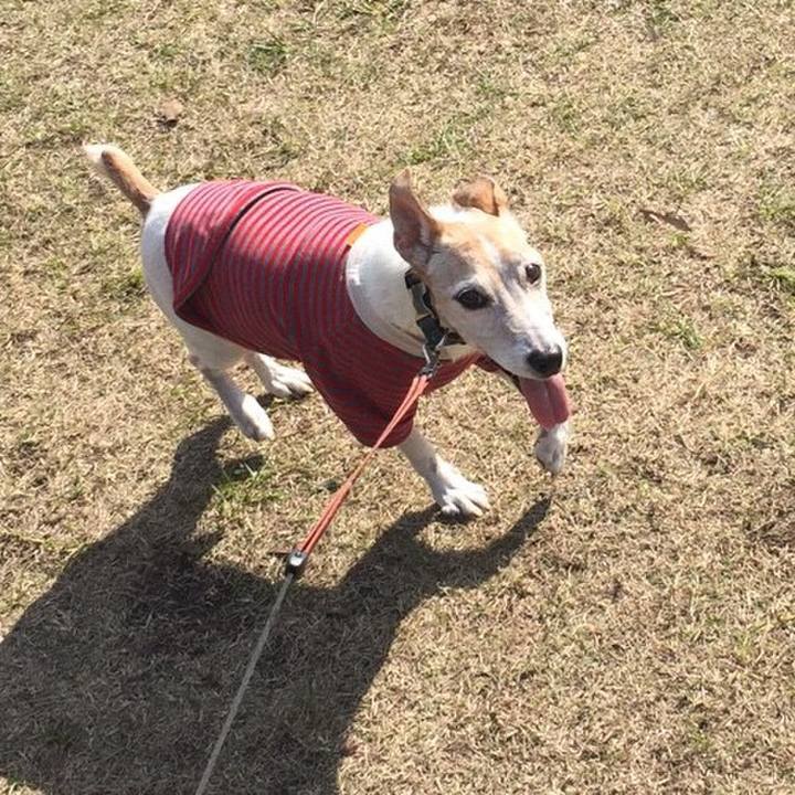 44da8c9f 0111 4459 9d67 6b3349cc6131